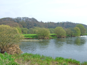 the river stour