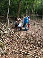 nuts about nature in parley wood