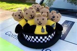 teddy bears in a police hat